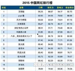 2015网红排行,盘点网络红人崛起之路