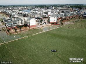 江心区龙岗镇新闻头条,聚焦乡村振兴，共绘美好蓝图