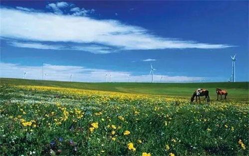 网红草原风光图片高清,草原风光无限美